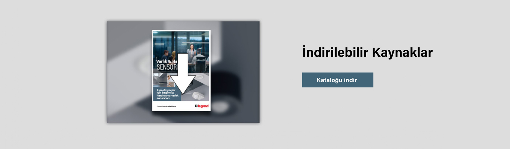 Varlık ve hareket sensörleri